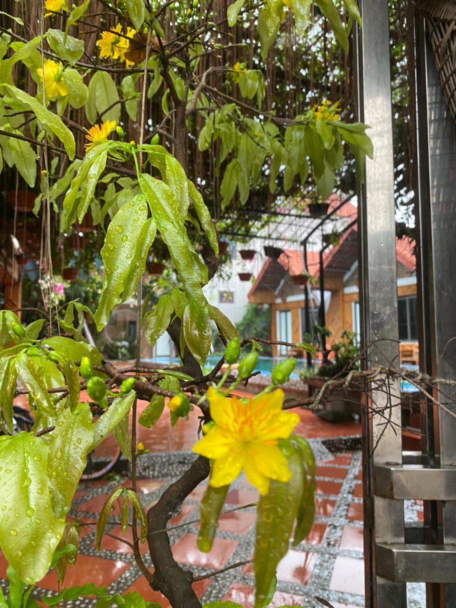 Tam Coc Charming Bungalow Νιν Μπιν Εξωτερικό φωτογραφία