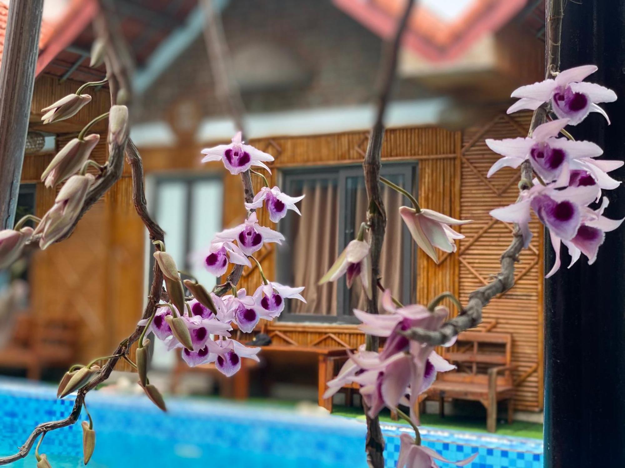 Tam Coc Charming Bungalow Νιν Μπιν Εξωτερικό φωτογραφία