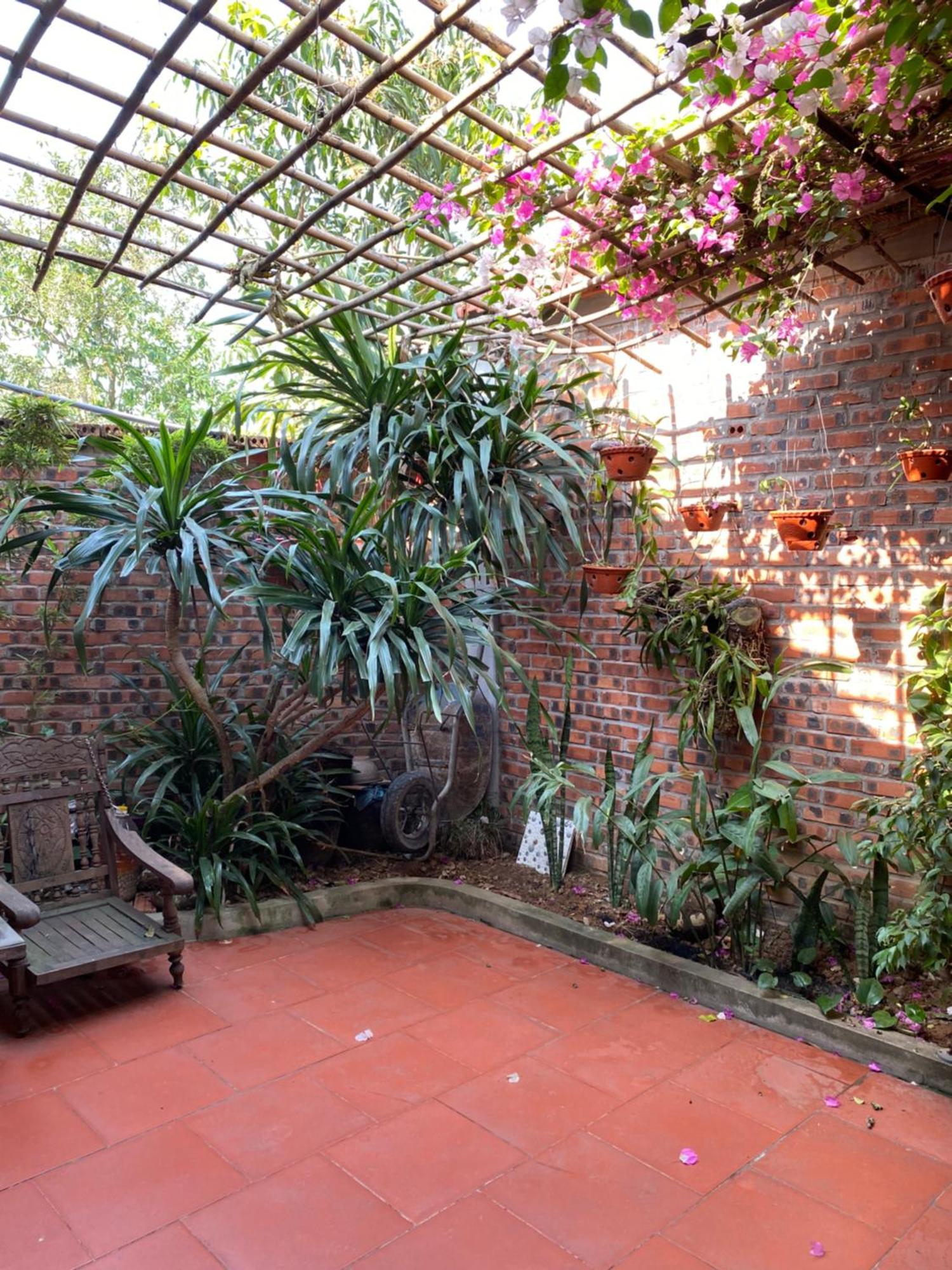 Tam Coc Charming Bungalow Νιν Μπιν Εξωτερικό φωτογραφία